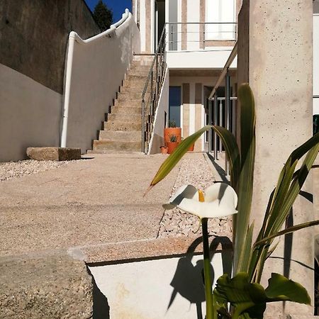 Casa Ventuzelo Lägenhet OOporto Exteriör bild